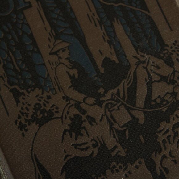 Vintage 1910s Book, "The Young Forester" by Zane Grey, Grosset and Dunlap Editio - Picture 2 of 10